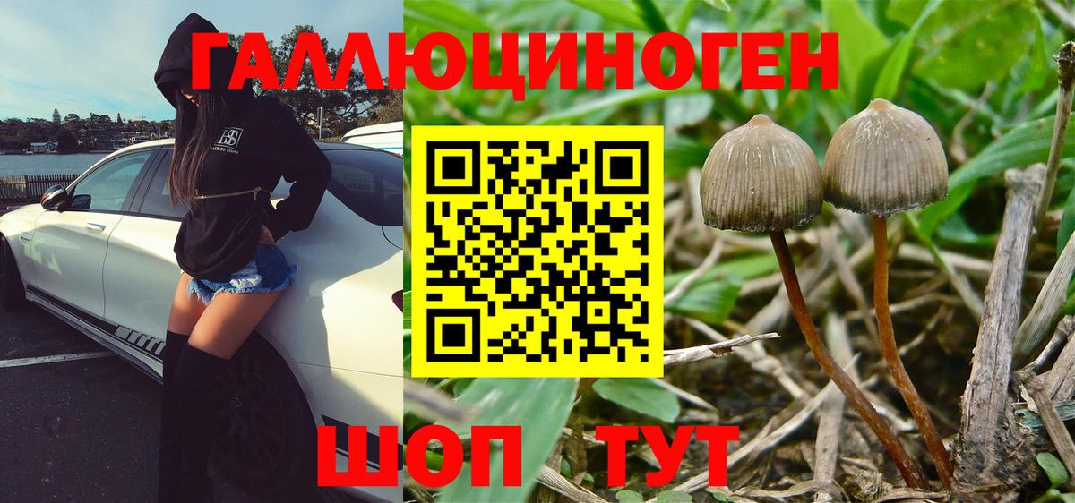 Усть-Илимск  Псилоцибиновые грибы Psilocybine cubensis  Вход с VPN  Псилоцибиновые грибы мухоморы 